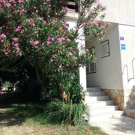 Apartman Nona Povljana Dış mekan fotoğraf