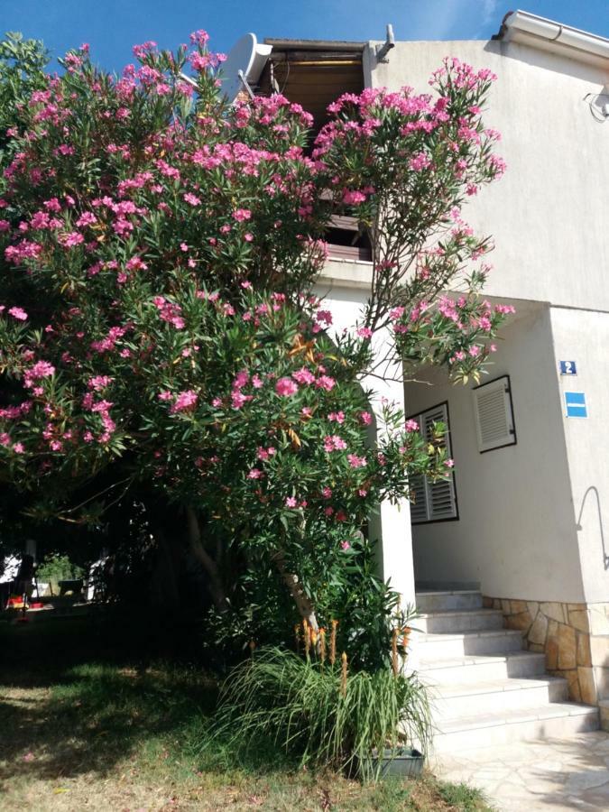 Apartman Nona Povljana Dış mekan fotoğraf