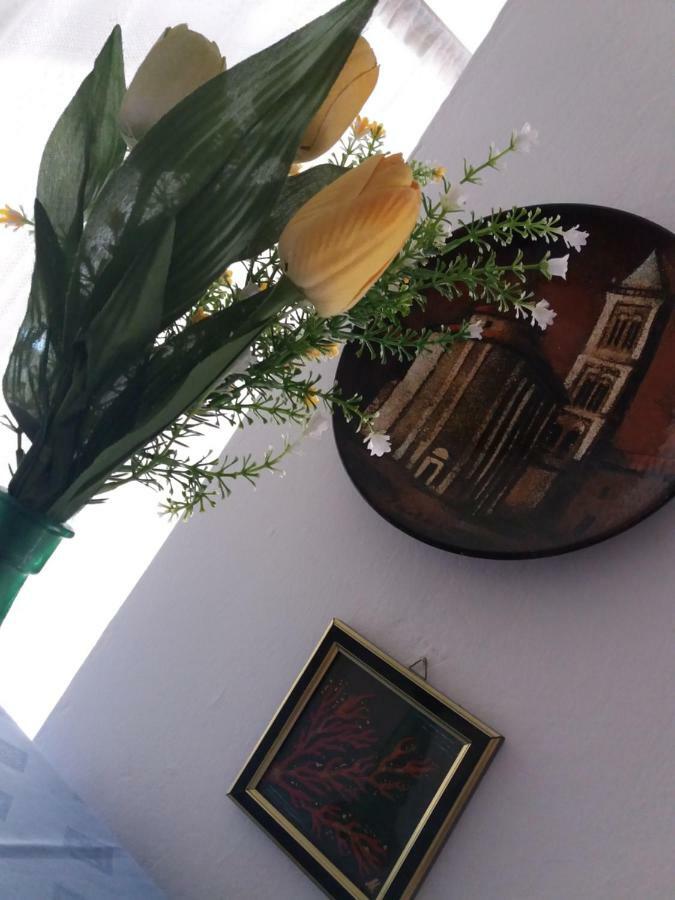 Apartman Nona Povljana Dış mekan fotoğraf